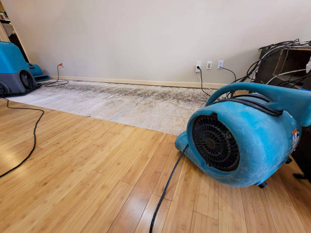 Professional Sewage Cleanup technician working in Shiloh, OH